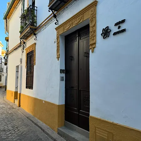 Noches De * 科爾多瓦