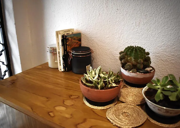 Noches De Appartement Córdoba